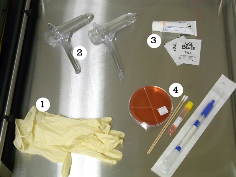 Anorectal examination equipment
